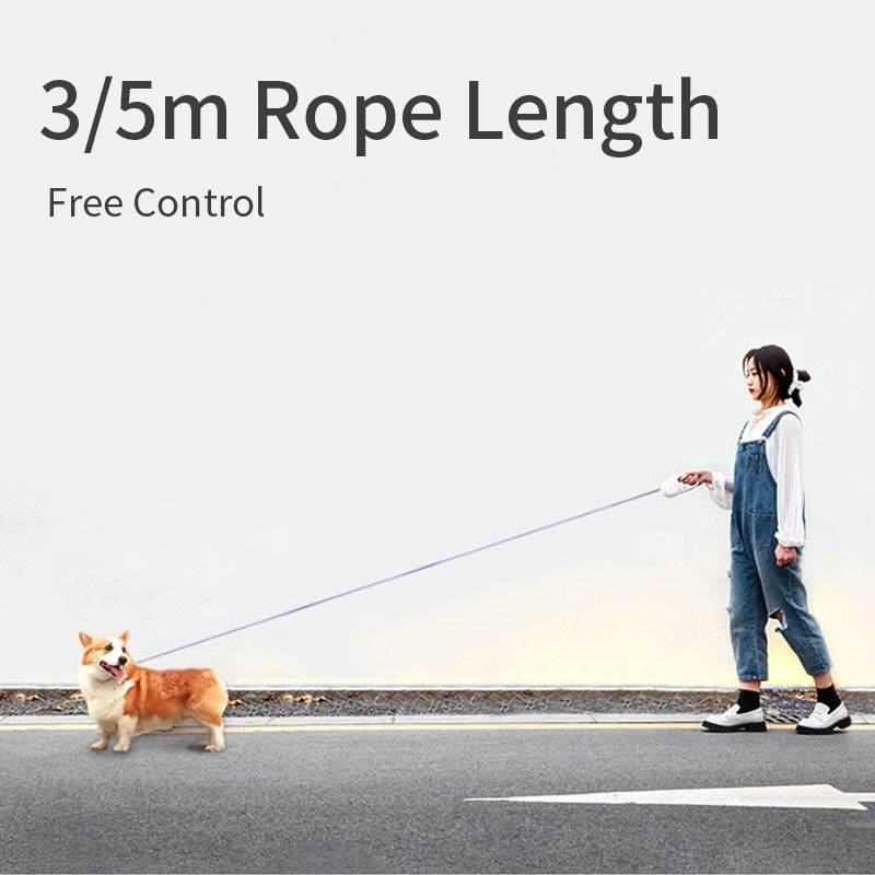 Enhance Safety and Convenience with our Automatic Retractable Lighting Dog Leash