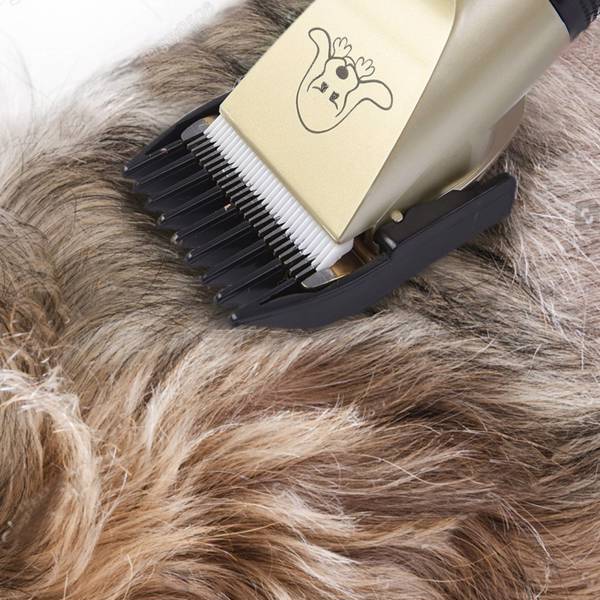 Achieve Professional Pet Grooming at Home with our Electric Dog Hair Trimmer Kit